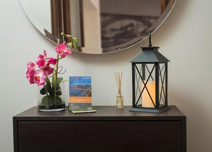 Guest Cedofeita Terrace *