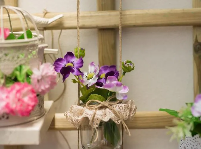 Guest Cedofeita Terrace