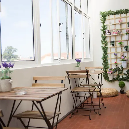 Guest Cedofeita Terrace Διαμέρισμα *