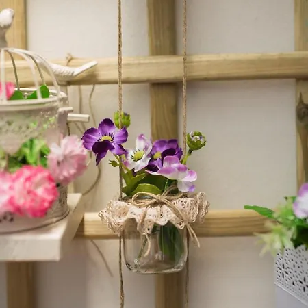 Guest Cedofeita Terrace