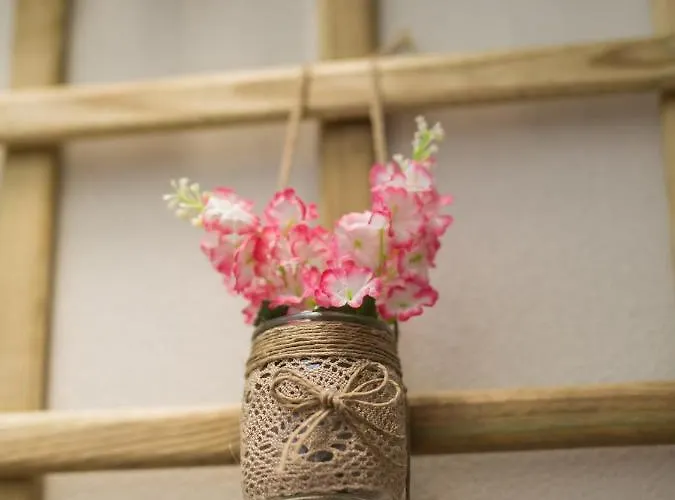 Guest Cedofeita Terrace * Porto