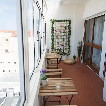 Апартаменты Guest Cedofeita Terrace Порту