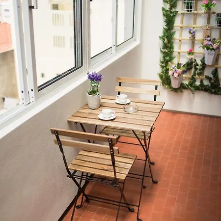 Апартаменты Guest Cedofeita Terrace *