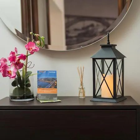 Guest Cedofeita Terrace *