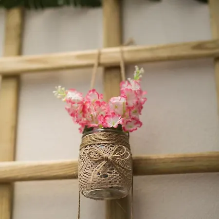 Guest Cedofeita Terrace * Oporto